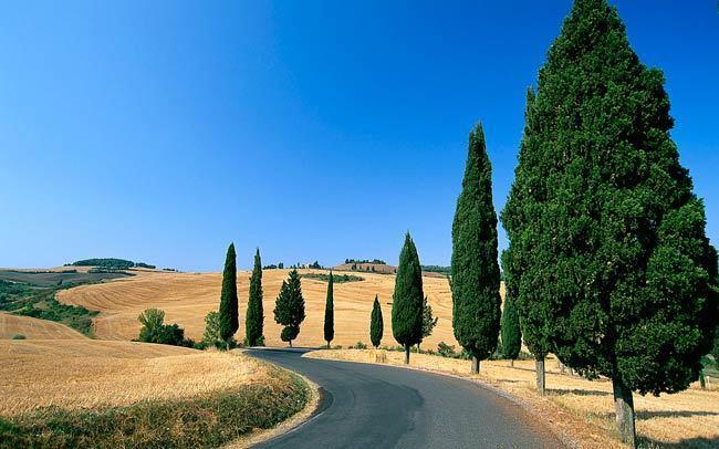 Villa Montarioso Siena Bagian luar foto